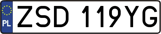 ZSD119YG