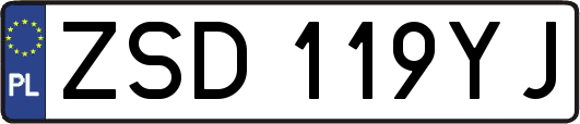 ZSD119YJ