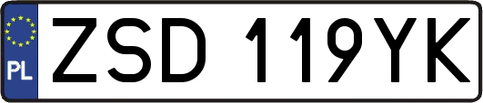 ZSD119YK