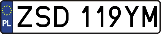 ZSD119YM