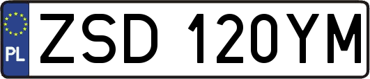 ZSD120YM