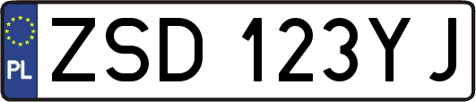 ZSD123YJ