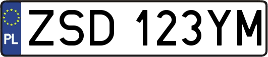 ZSD123YM