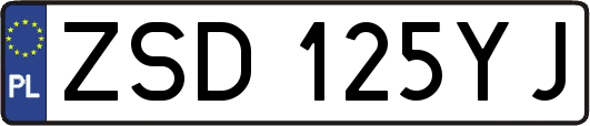 ZSD125YJ