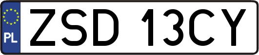 ZSD13CY