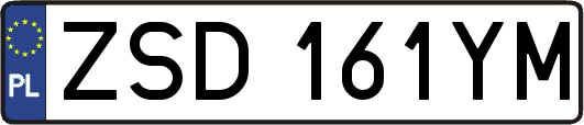 ZSD161YM