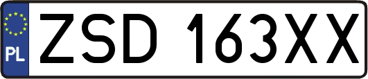 ZSD163XX
