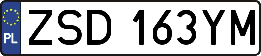 ZSD163YM