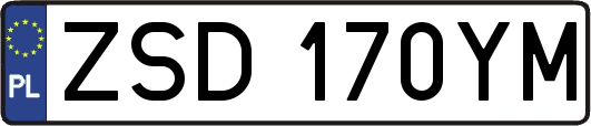 ZSD170YM