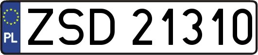 ZSD21310