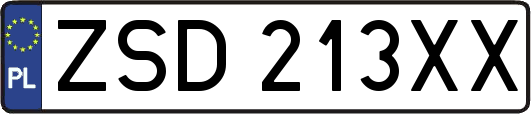 ZSD213XX