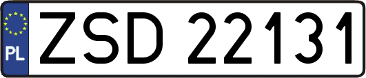 ZSD22131