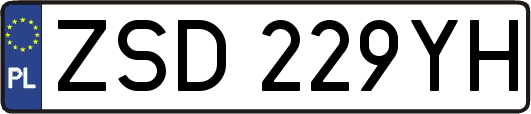 ZSD229YH
