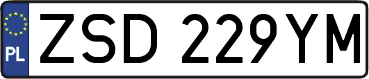 ZSD229YM