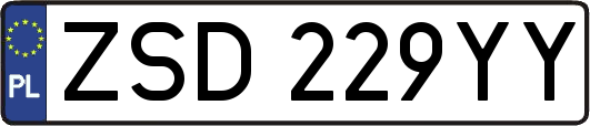 ZSD229YY