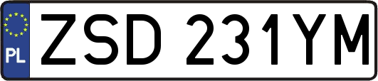ZSD231YM