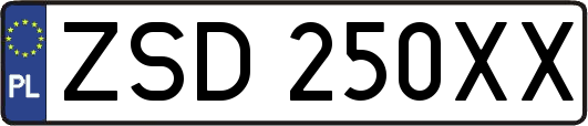ZSD250XX