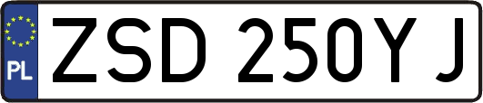 ZSD250YJ