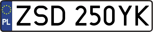 ZSD250YK