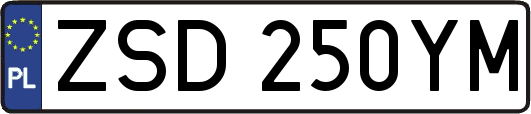 ZSD250YM