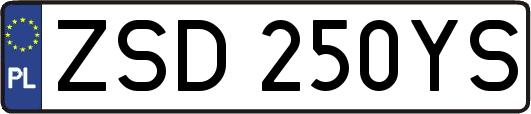 ZSD250YS