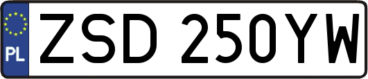 ZSD250YW