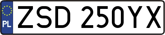 ZSD250YX