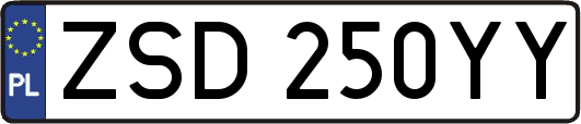 ZSD250YY
