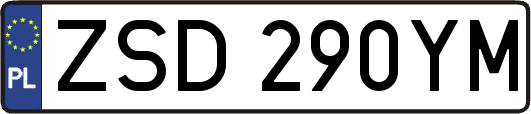 ZSD290YM
