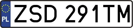 ZSD291TM