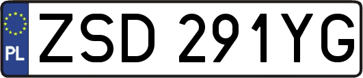 ZSD291YG
