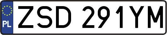 ZSD291YM