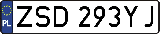 ZSD293YJ