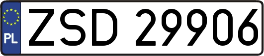 ZSD29906
