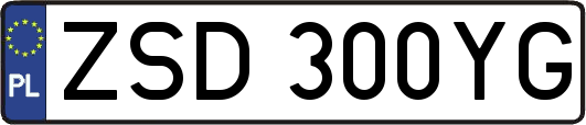 ZSD300YG