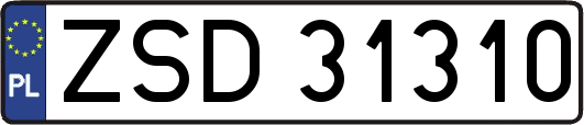 ZSD31310