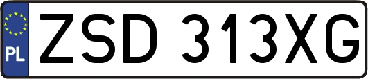 ZSD313XG