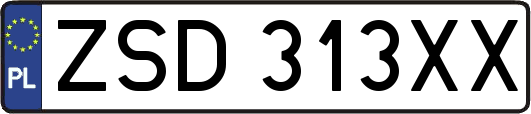 ZSD313XX