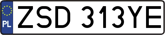 ZSD313YE