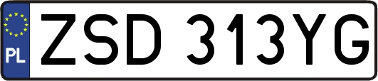 ZSD313YG