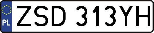 ZSD313YH