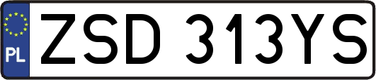 ZSD313YS