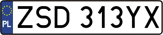 ZSD313YX