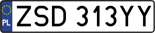 ZSD313YY