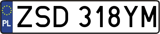 ZSD318YM