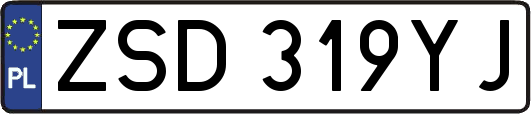 ZSD319YJ