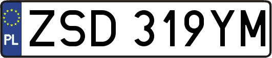 ZSD319YM