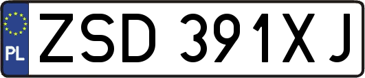 ZSD391XJ
