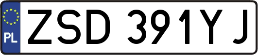 ZSD391YJ