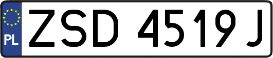 ZSD4519J
